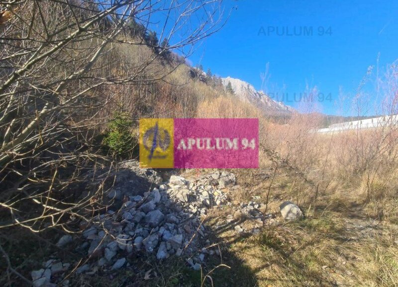 Teren intravilan de vanzare in Busteni - Zona centrala